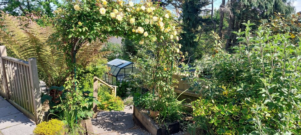 Cadgwith, Ruan Minor, TR12