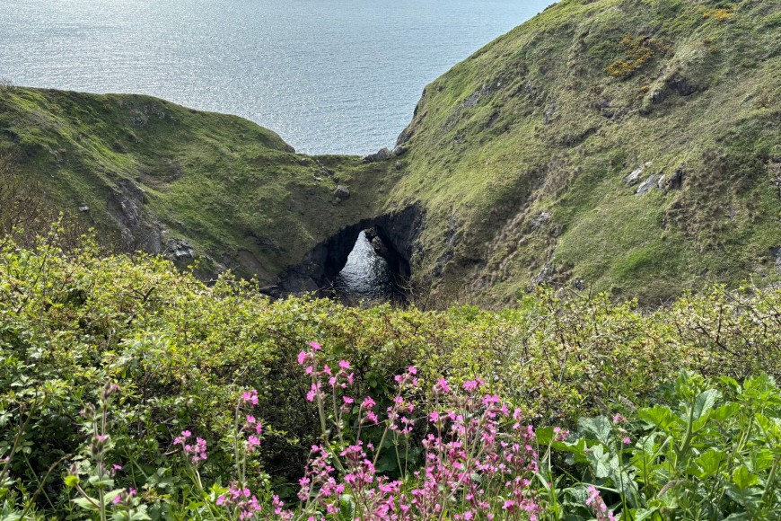 Cadgwith, Ruan Minor, TR12