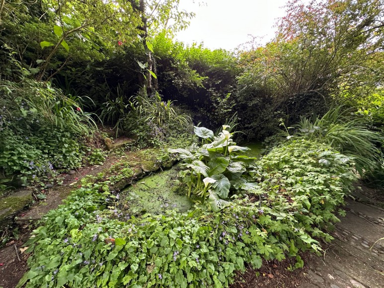 Penvale Crescent, Penryn, TR10