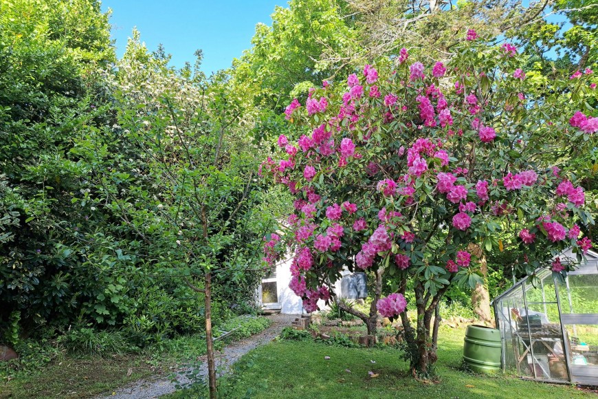 Swanpool, Falmouth, TR11