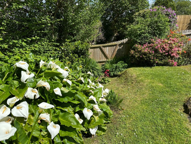 Lanoweth, Penryn, TR10
