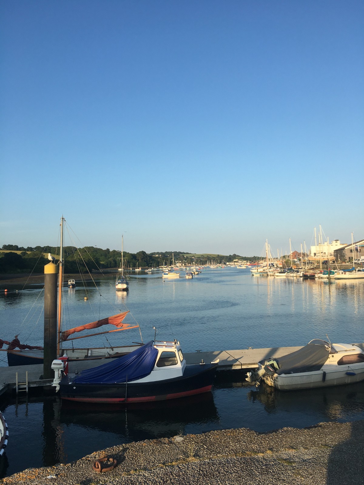 Heather & Lay Loves Penryn